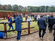 WG031025-17 - Free schooling arena